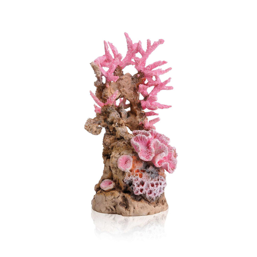Reef Ornament W680263