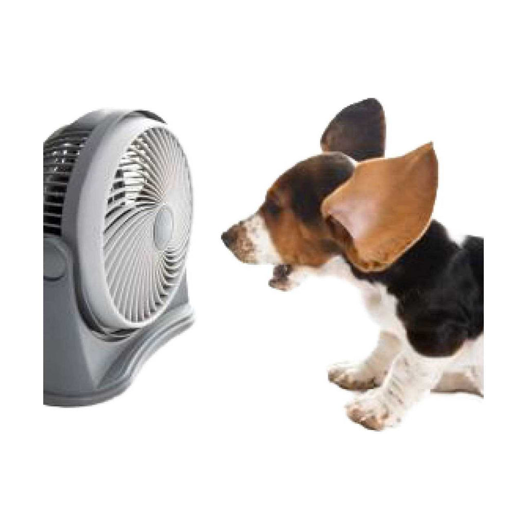 Crate Fan E190550