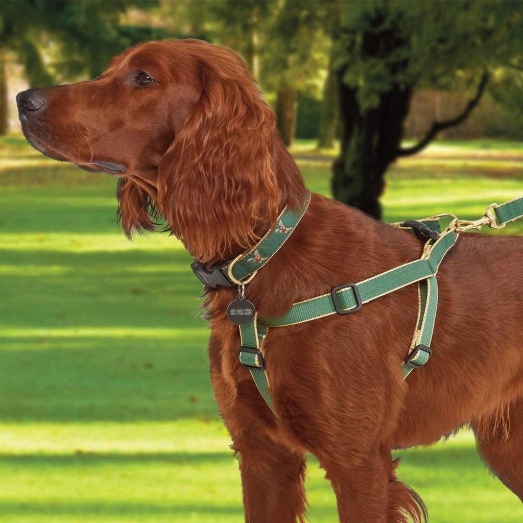 Dog Collar P621