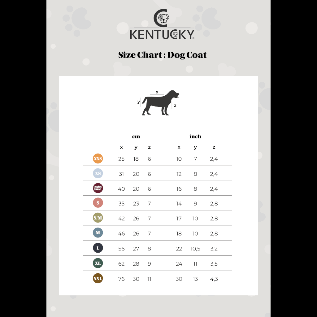 Waterproof Coral Dog Coat B4430