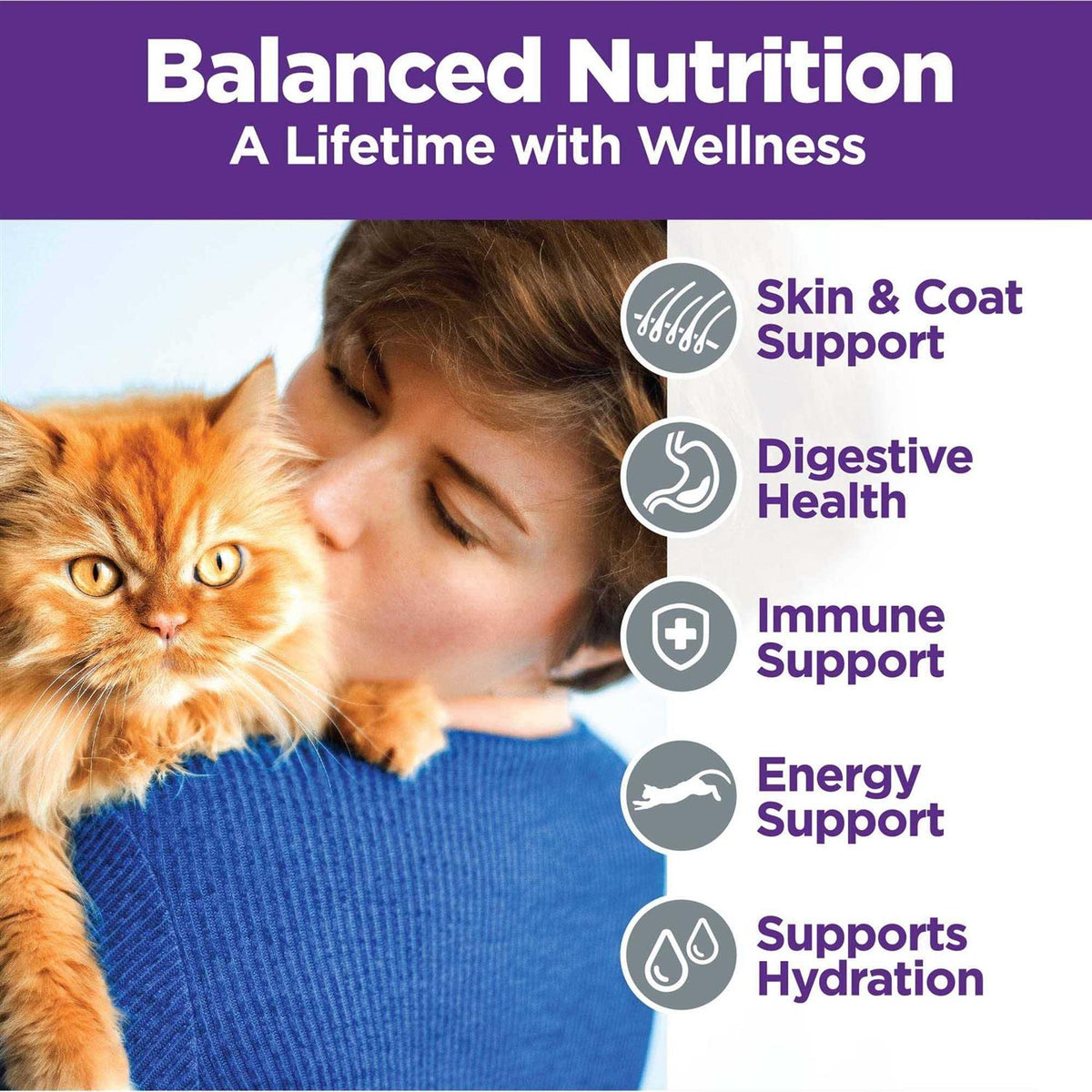 Chicken & Turkey Pate Cat Food Variety Pack J68958