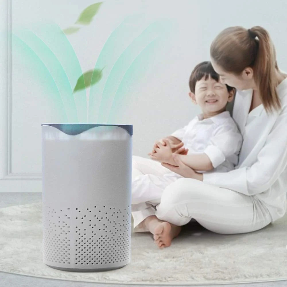 Portable HEPA Air Purifier N892616