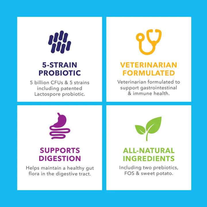 Probiotic Powder for Dogs & Cats B71305
