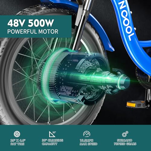 20" x 4" Fat Tire 48V 500W 3 Wheels 7 Speed Electric Tricycle with Removable Battery N69189
