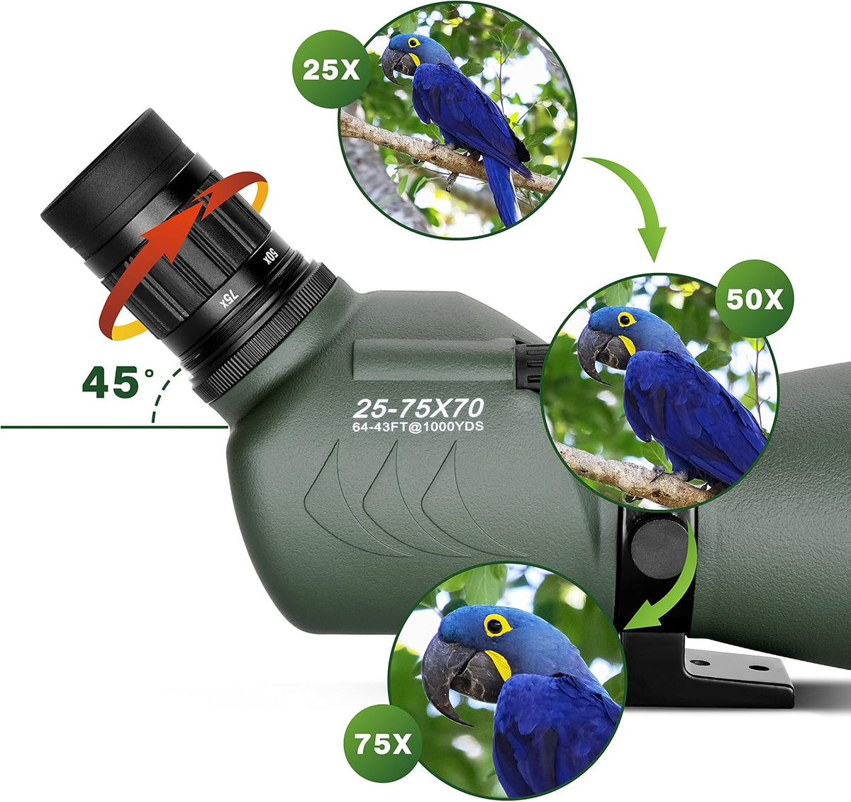 Spotting Scope with Tripod and Phone Adapter I452416