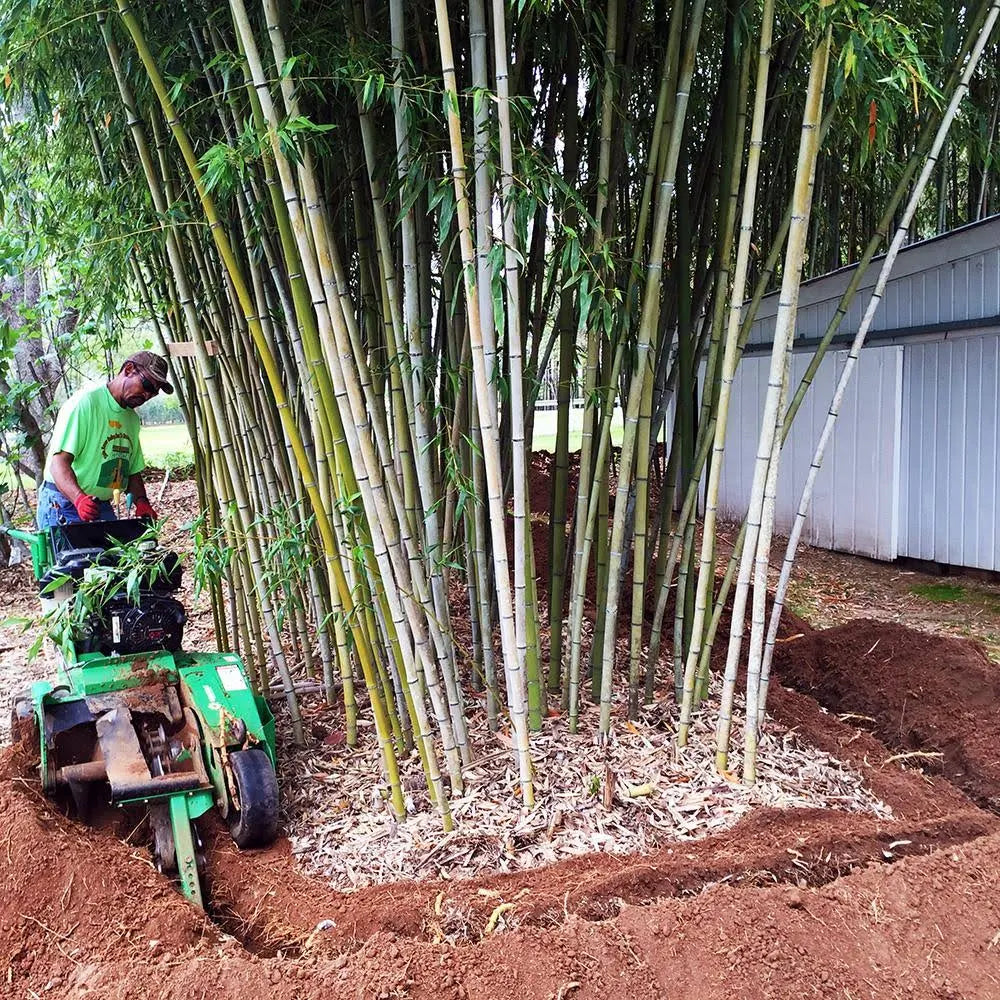50 Feet Long x 24 inch x 60 Mil Bamboo Root Barrier Q515