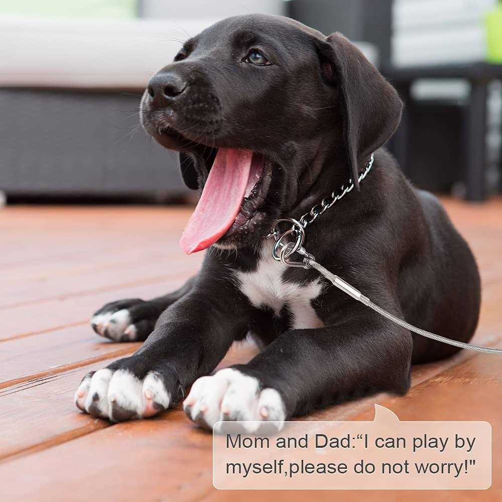 Reflective Dog Tie Out Cable C20500