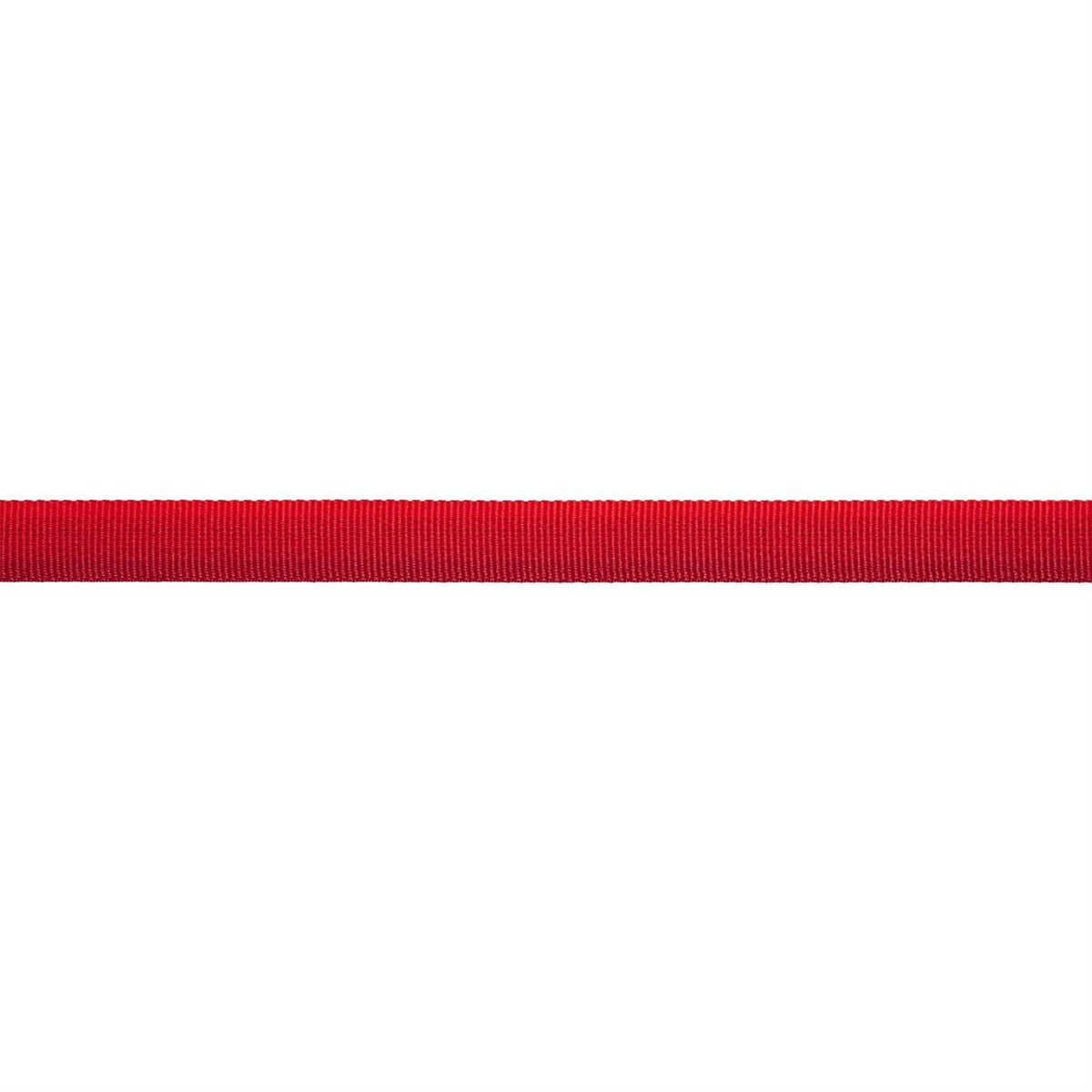 Dog Collar C6395