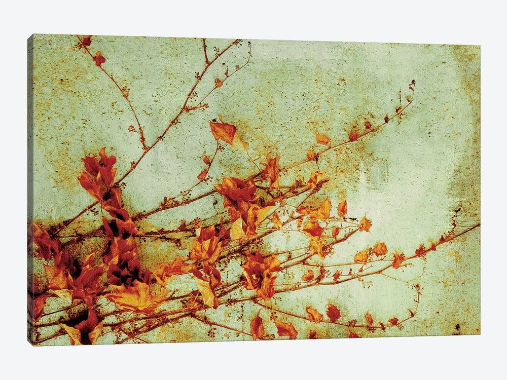 Canvas Art Persimmon Print B98448