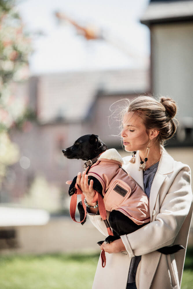 Waterproof Coral Dog Coat B4430