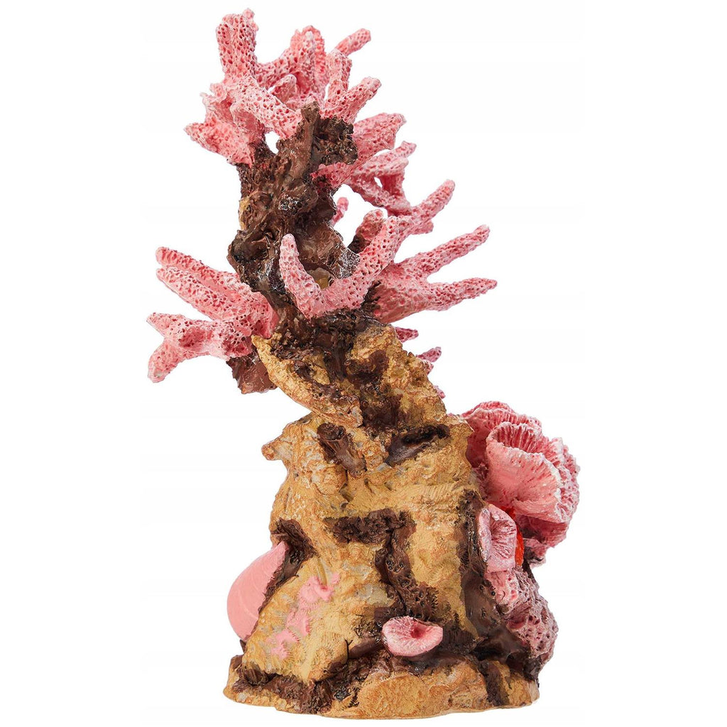 Reef Ornament W680263