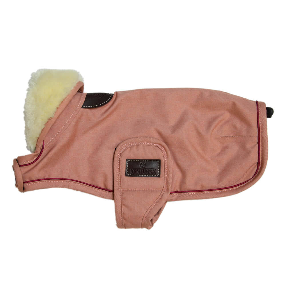 Waterproof Coral Dog Coat B4430