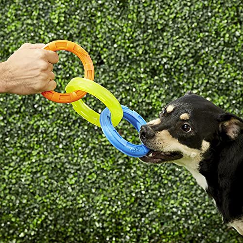 10.5in Rubber 3-Ring Tug Dog Toy, Blue/Green/Orange W957