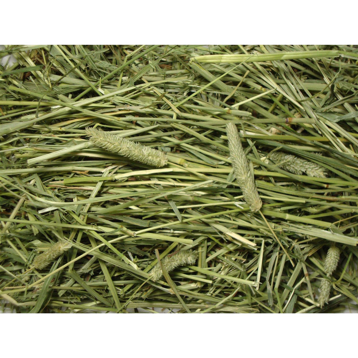 Natural Timothy Hay Pet Supplies E151