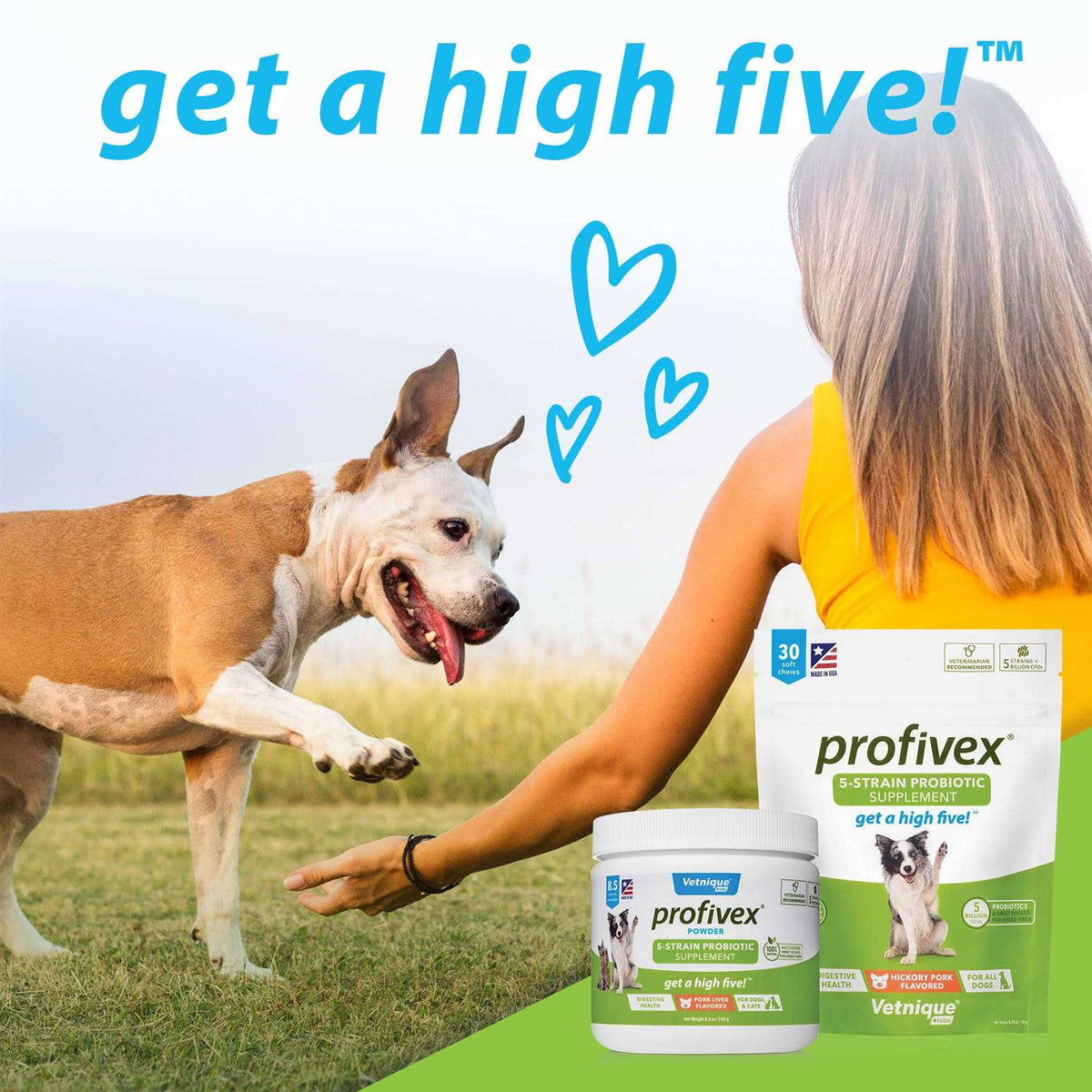 Probiotic Powder for Dogs & Cats B71305