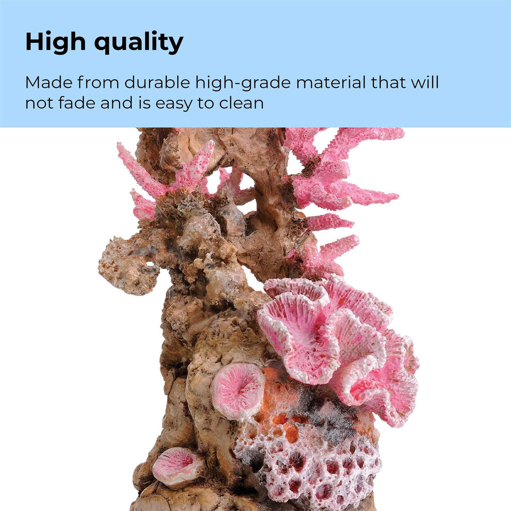 Reef Ornament W680263