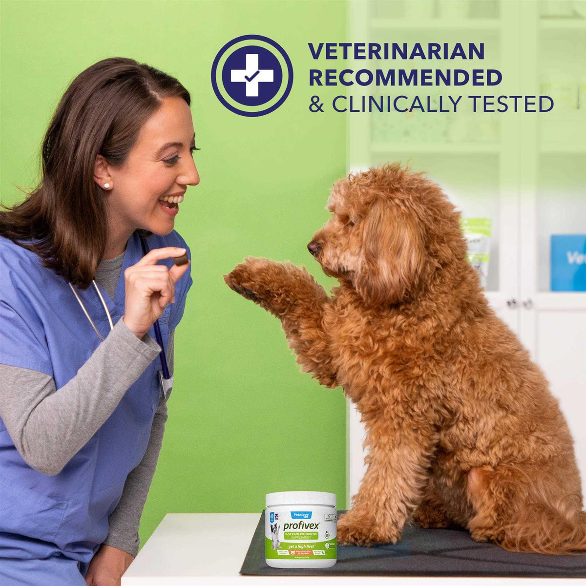 Probiotic Powder for Dogs & Cats B71305