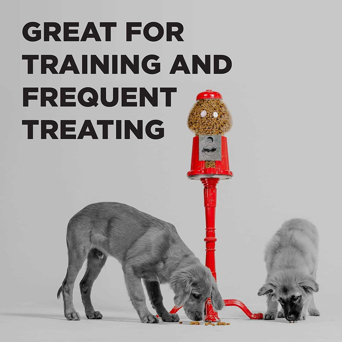 Dog Treats G703960
