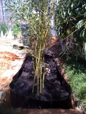 50 Feet Long x 24 inch x 60 Mil Bamboo Root Barrier Q515