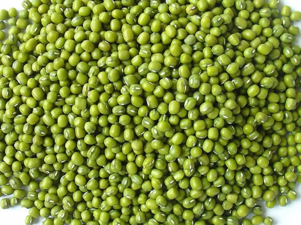 Mung Beans Y572