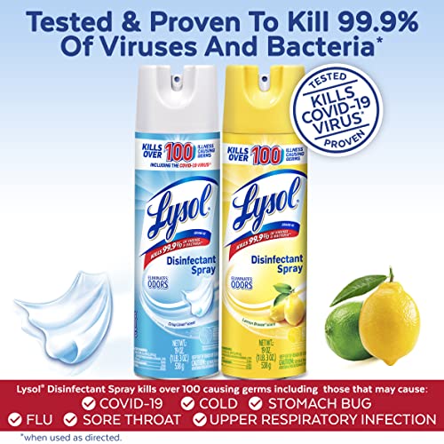 Lemon Breeze Disinfectant Spray, 19 Fl Oz (Pack of 2) G52050