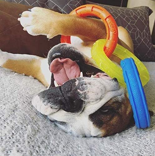 10.5in Rubber 3-Ring Tug Dog Toy, Blue/Green/Orange W957