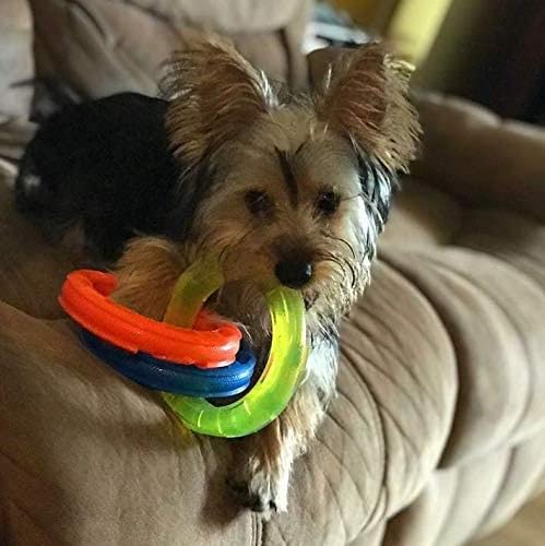 10.5in Rubber 3-Ring Tug Dog Toy, Blue/Green/Orange W957