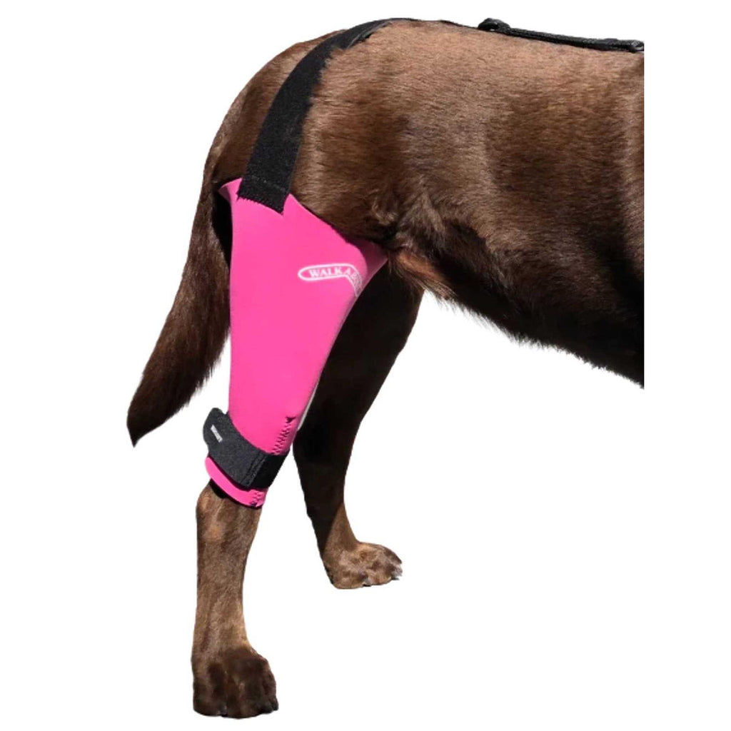 Dog & Cat Knee Brace C68311