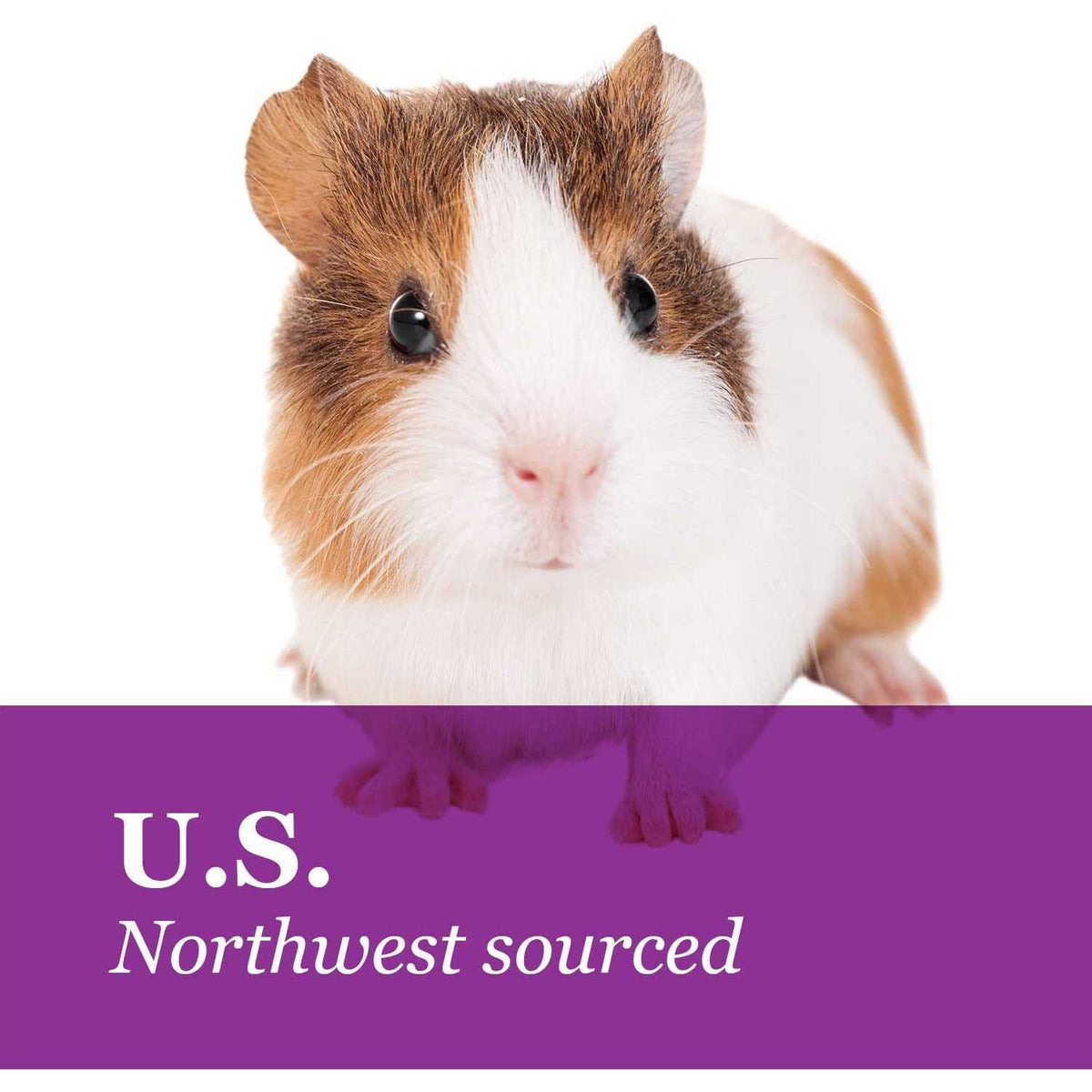 Natural Timothy Hay Pet Supplies E151