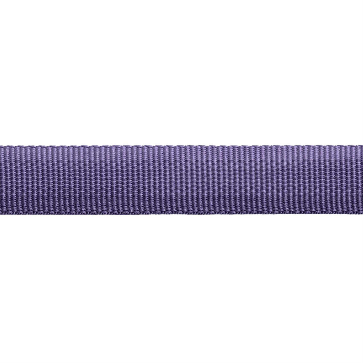 Dog Collar C6395
