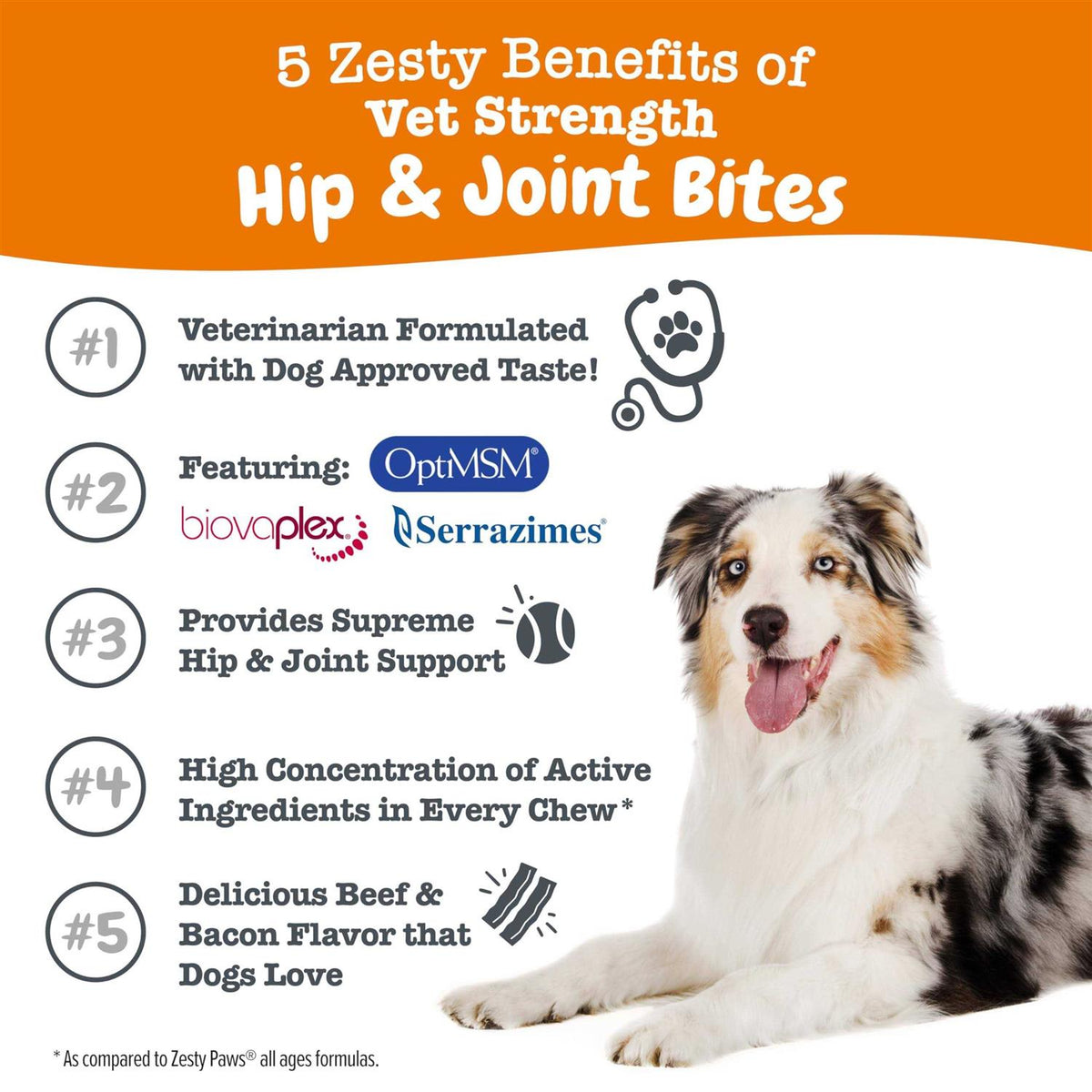 Beef & Bacon Flavored Hip & Joint Mobility Chews for Dogs Z3723