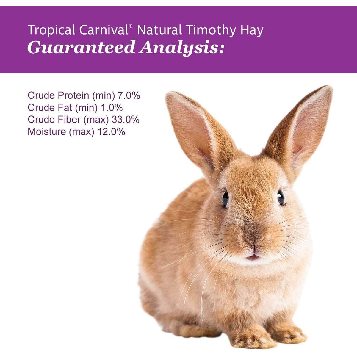 Natural Timothy Hay Pet Supplies E151